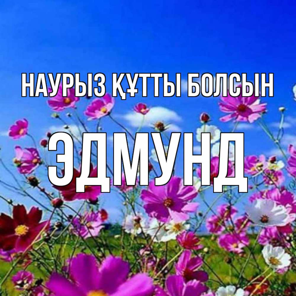 Күн сайын ашық хат с именем, Эдмунд Наурыз құтты болсын цветы Онлайн тегін жүктеп алу тілектері бар керемет карта 