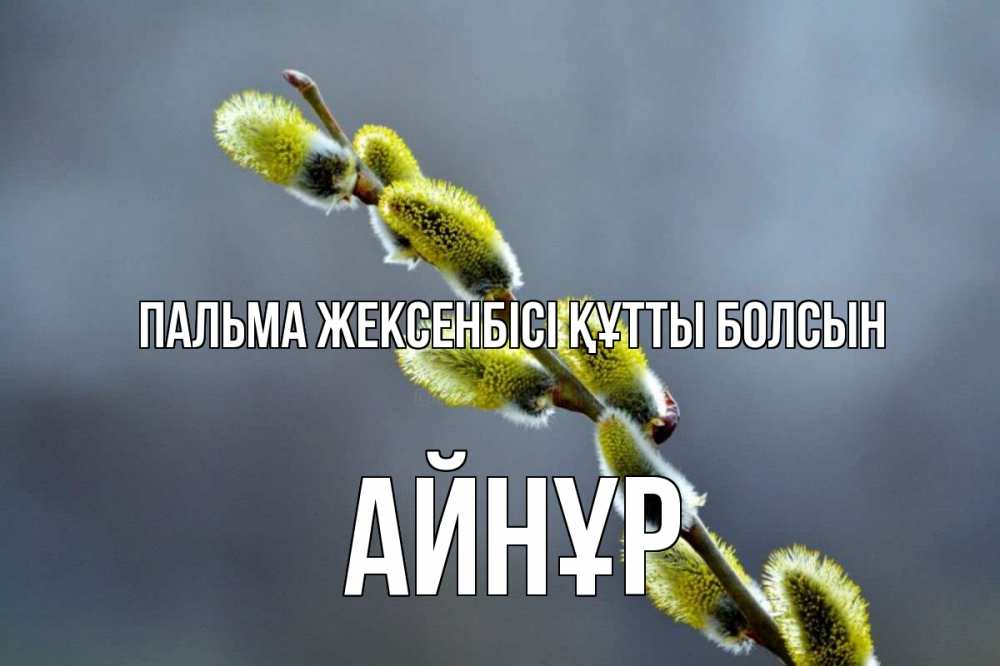 Күн сайын ашық хат с именем, АЙНҰР Пальма жексенбісі құтты болсын верба Онлайн тегін жүктеп алу тілектері бар керемет карта 