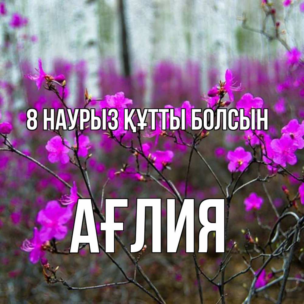 Күн сайын ашық хат с именем, АҒЛИЯ 8 наурыз құтты болсын дикие цветы Онлайн тегін жүктеп алу тілектері бар керемет карта 