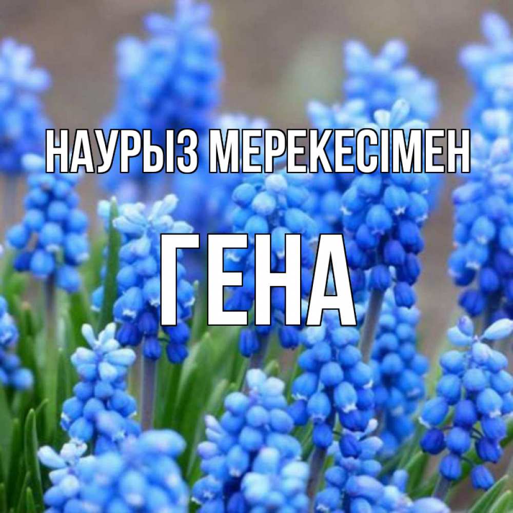 Күн сайын ашық хат с именем, Гена Наурыз мерекесімен Поздравительная открытка для женщин с цветами на праздничную дату Онлайн тегін жүктеп алу тілектері бар керемет карта 