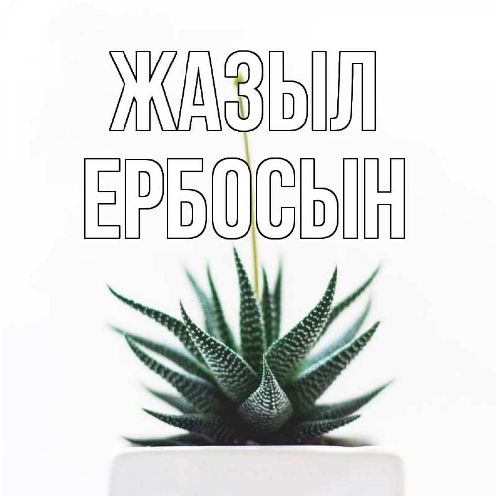 Күн сайын ашық хат с именем, Ербосын Жазыл короче это непонятная колючка Онлайн тегін жүктеп алу тілектері бар керемет карта 