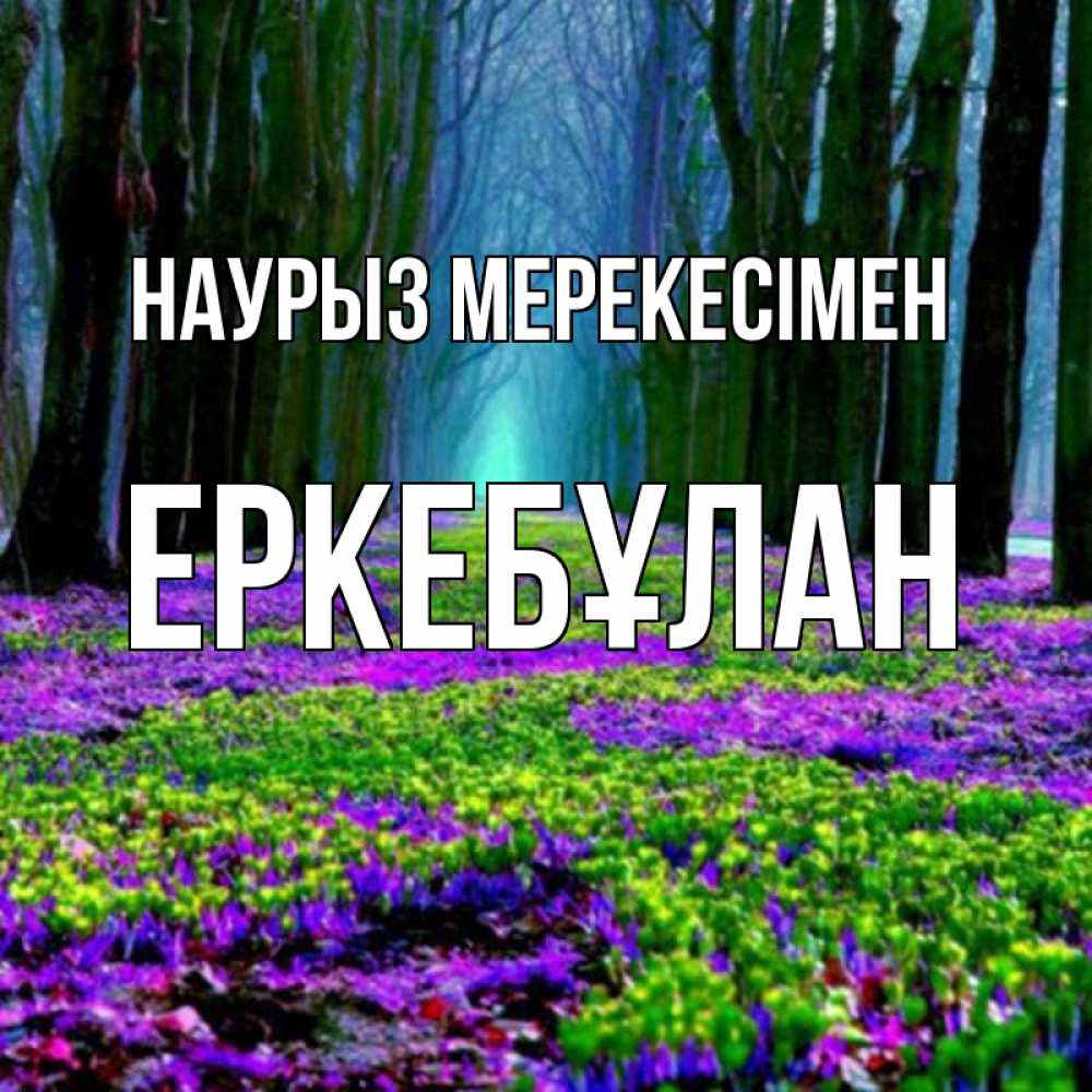 Күн сайын ашық хат с именем, Еркебұлан Наурыз мерекесімен фиолетовые цветы в лесу 1 Онлайн тегін жүктеп алу тілектері бар керемет карта 