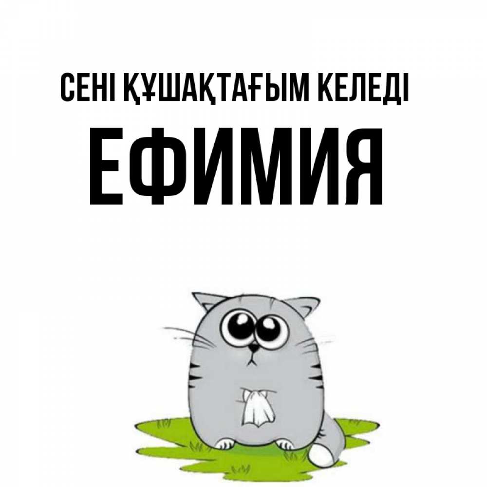 Күн сайын ашық хат с именем, Ефимия сені құшақтағым келеді котик теребит платочек сидя на травке Онлайн тегін жүктеп алу тілектері бар керемет карта 