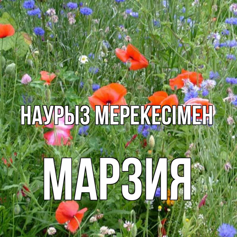 Күн сайын ашық хат с именем, МАРЗИЯ Наурыз мерекесімен праздник весны наурыз супер открытка Онлайн тегін жүктеп алу тілектері бар керемет карта 