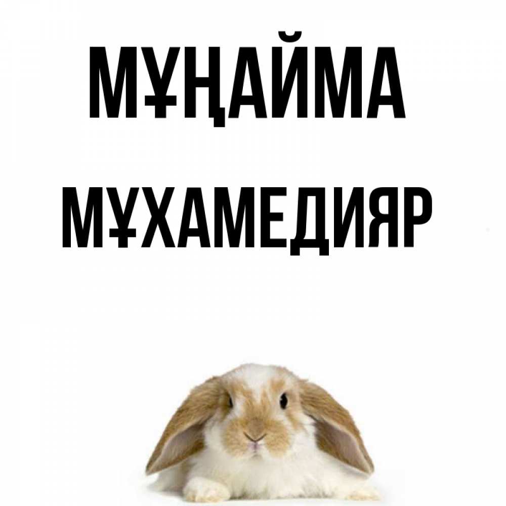 Күн сайын ашық хат с именем, МҰХАМЕДИЯР Мұңайма коричнево белый заяц с большими ушками Онлайн тегін жүктеп алу тілектері бар керемет карта 