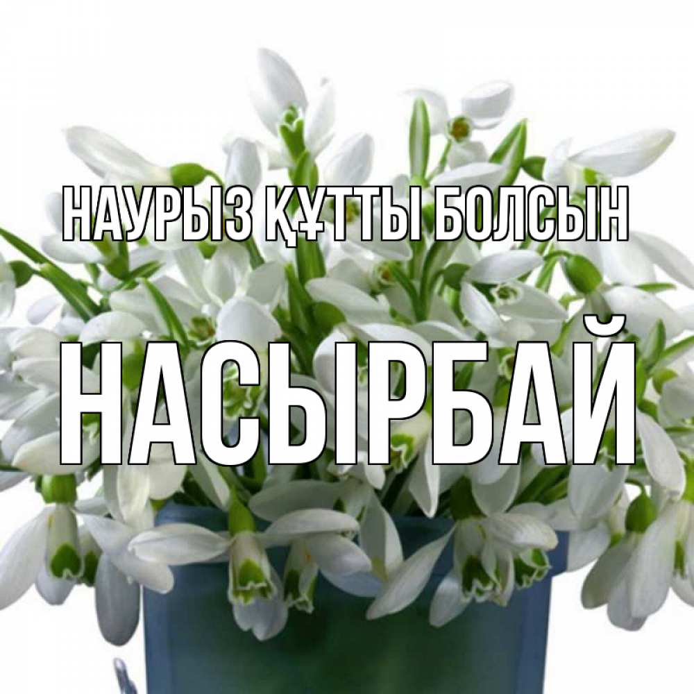 Күн сайын ашық хат с именем, Насырбай Наурыз құтты болсын цветы к наурызу Онлайн тегін жүктеп алу тілектері бар керемет карта 