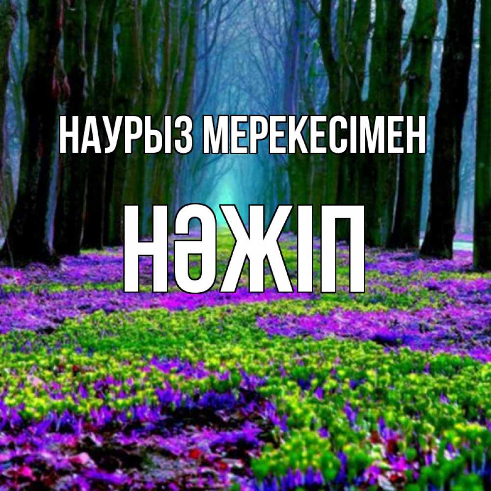 Күн сайын ашық хат с именем, НӘЖІП Наурыз мерекесімен фиолетовые цветы в лесу 1 Онлайн тегін жүктеп алу тілектері бар керемет карта 