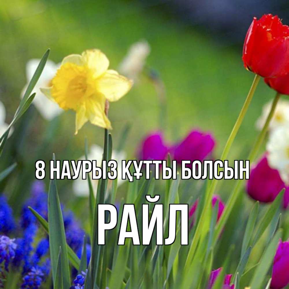 Күн сайын ашық хат с именем, РАЙЛ 8 наурыз құтты болсын международный женский день 3 Онлайн тегін жүктеп алу тілектері бар керемет карта 