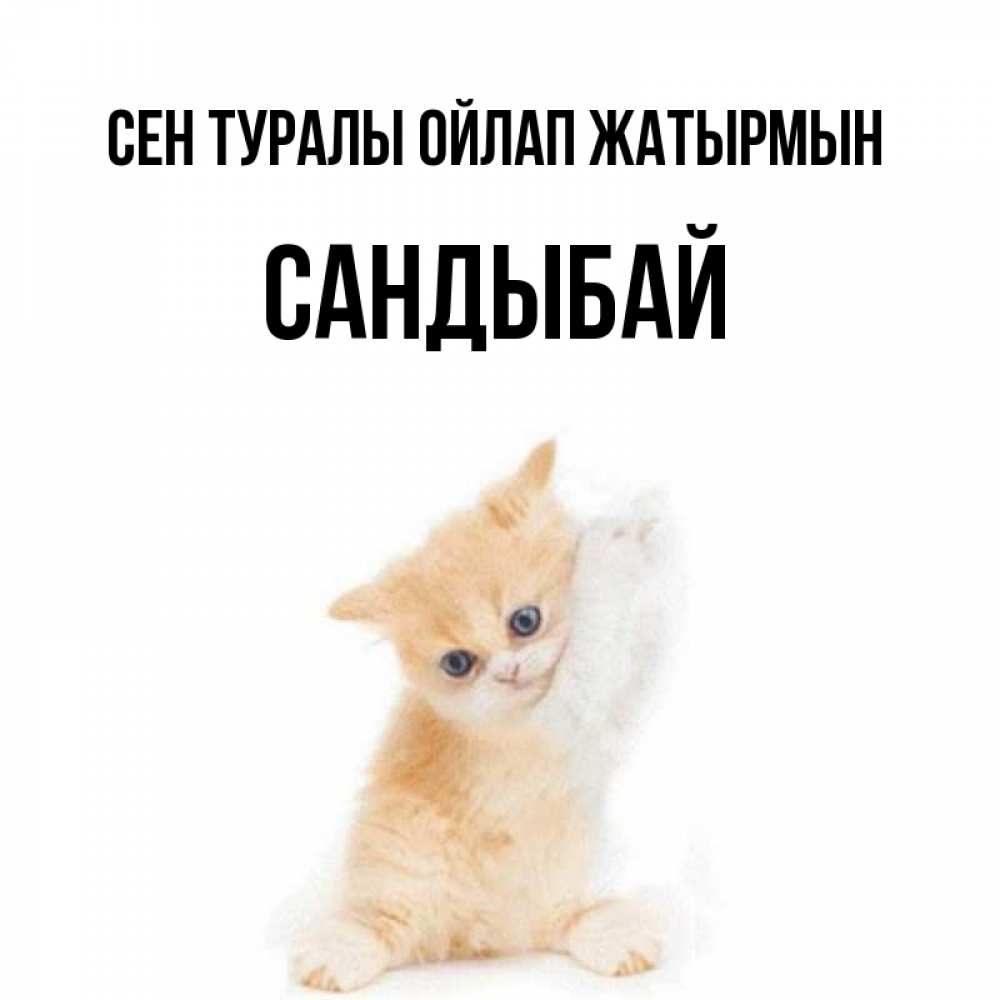 Күн сайын ашық хат с именем, САНДЫБАЙ Сен туралы ойлап жатырмын зверушки и милота Онлайн тегін жүктеп алу тілектері бар керемет карта 