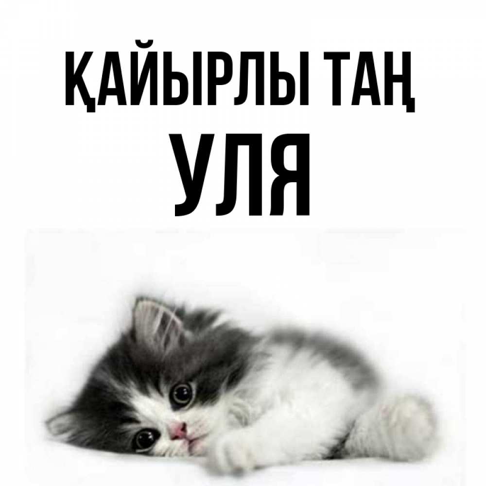 Күн сайын ашық хат с именем, Уля Қайырлы таң кот лапки Онлайн тегін жүктеп алу тілектері бар керемет карта 