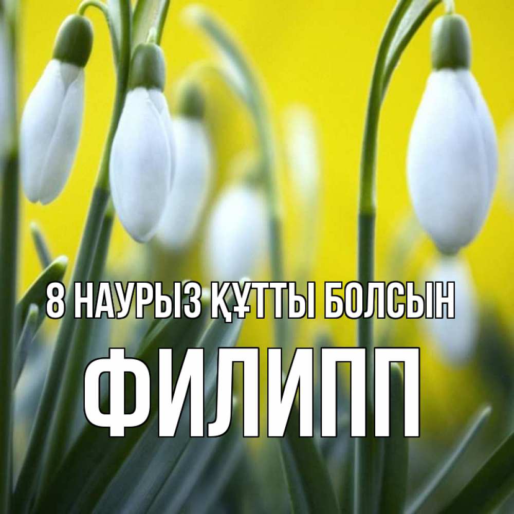 Күн сайын ашық хат с именем, Филипп 8 наурыз құтты болсын весенние цветы Онлайн тегін жүктеп алу тілектері бар керемет карта 
