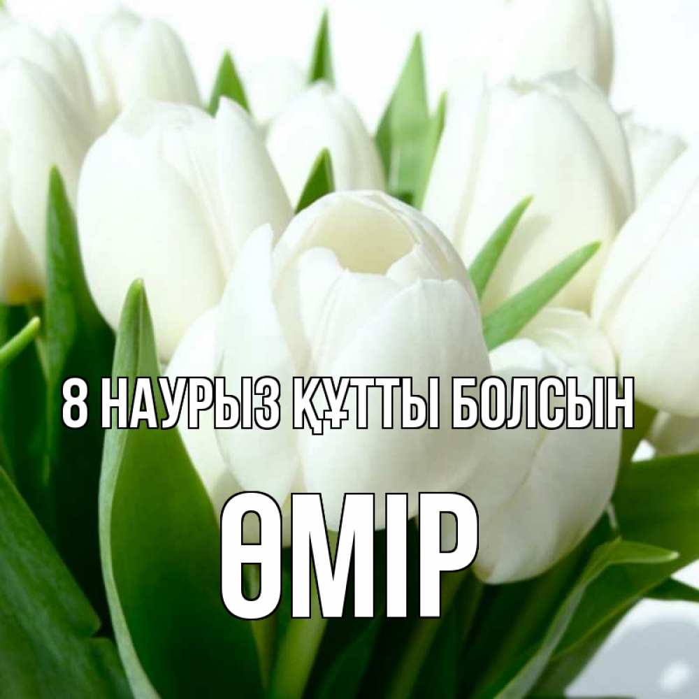 Күн сайын ашық хат с именем, ӨМІР 8 наурыз құтты болсын цветы Онлайн тегін жүктеп алу тілектері бар керемет карта 