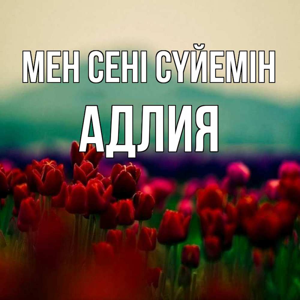 Күн сайын ашық хат с именем, АДЛИЯ Мен сені сүйемін тюльпаны 4 Онлайн тегін жүктеп алу тілектері бар керемет карта 