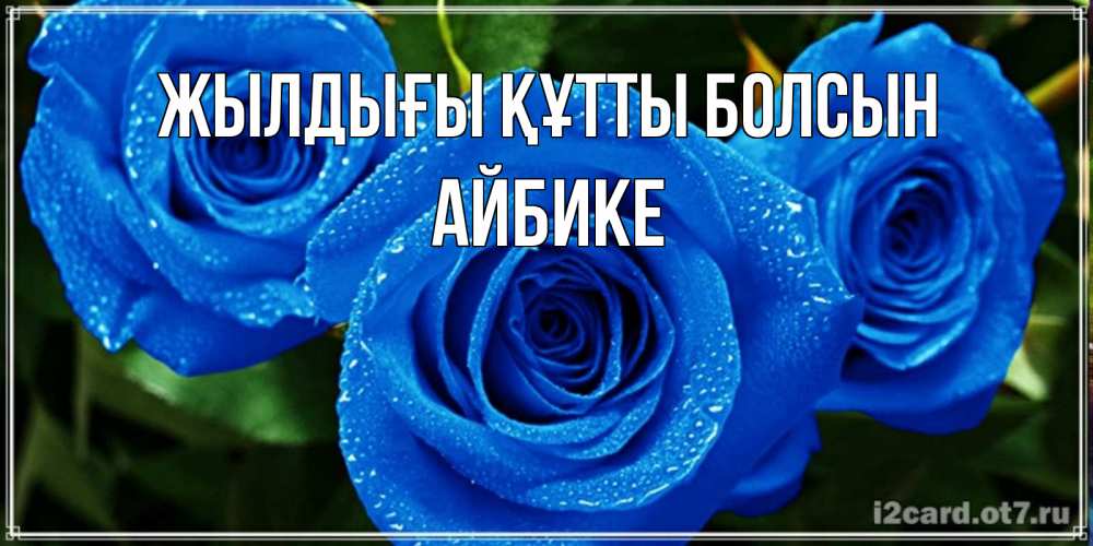 Күн сайын ашық хат с именем, АЙБИКЕ Жылдығы құтты болсын розы с синим цветом Онлайн тегін жүктеп алу тілектері бар керемет карта 
