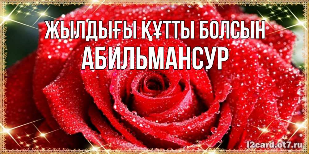 Күн сайын ашық хат с именем, Абильмансур Жылдығы құтты болсын роса и роза. открытка с красивой розой Онлайн тегін жүктеп алу тілектері бар керемет карта 