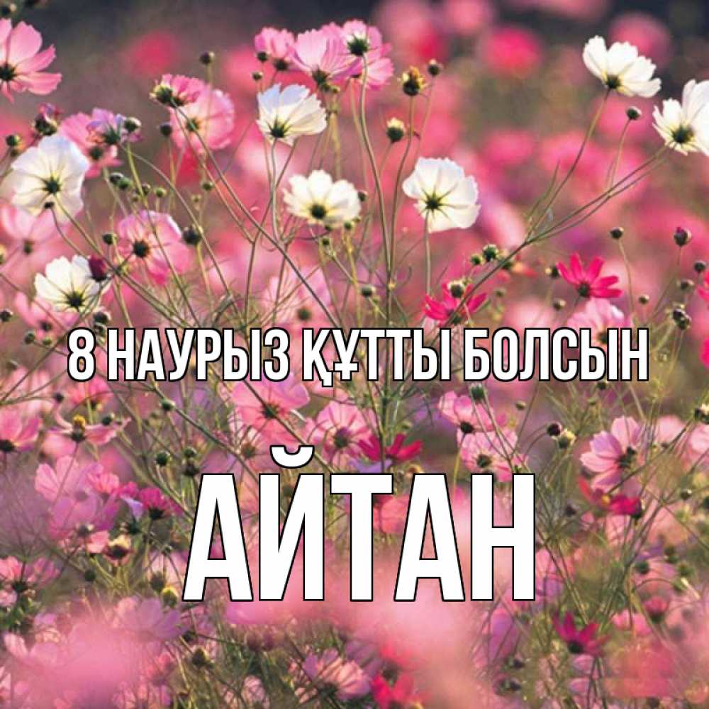 Күн сайын ашық хат с именем, Айтан 8 наурыз құтты болсын красиво 1 Онлайн тегін жүктеп алу тілектері бар керемет карта 