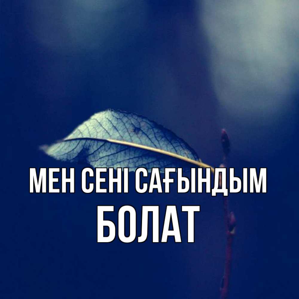 Күн сайын ашық хат с именем, Болат Мен сені сағындым одна ветка 1 Онлайн тегін жүктеп алу тілектері бар керемет карта 
