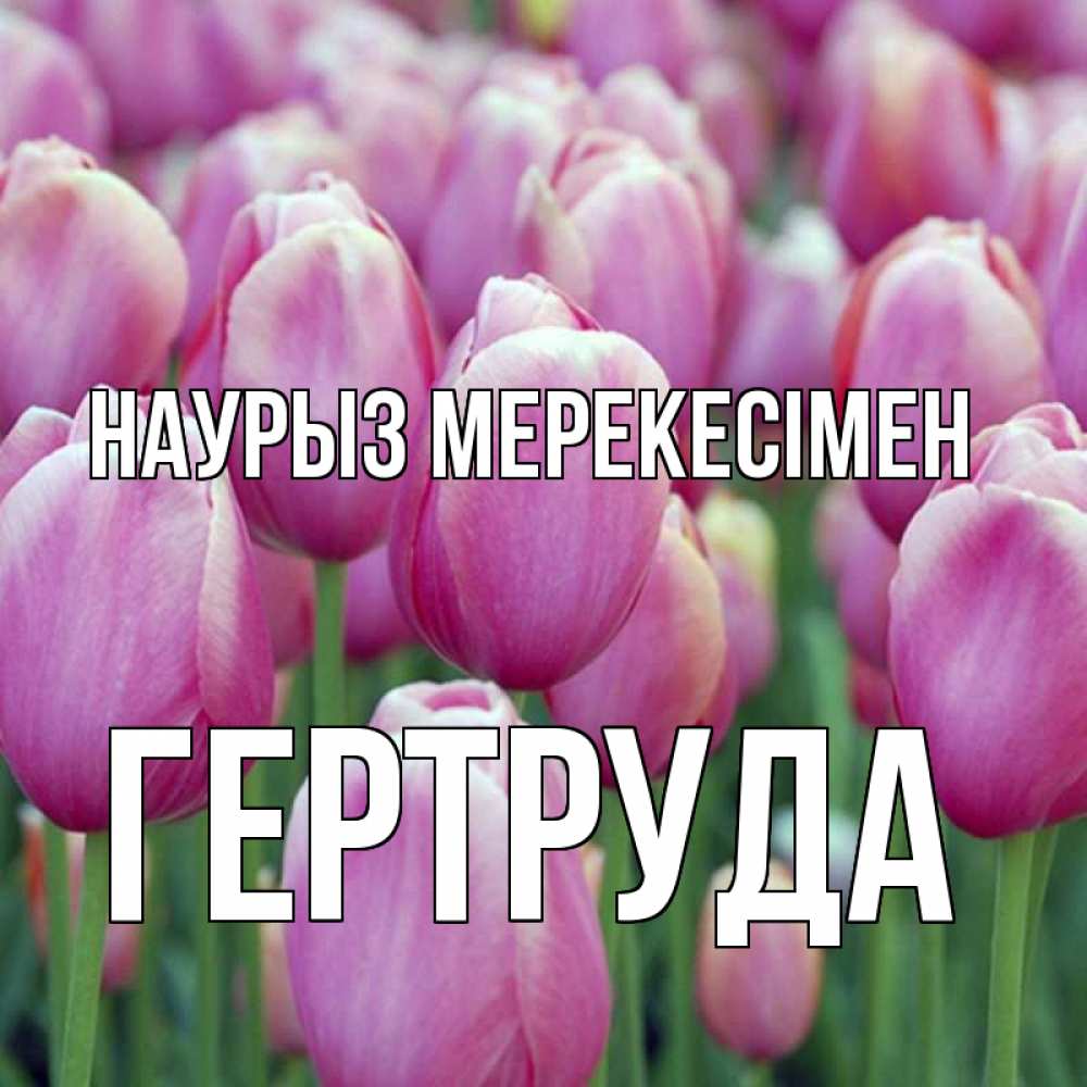 Күн сайын ашық хат с именем, Гертруда Наурыз мерекесімен праздник весны наурыз 69 Онлайн тегін жүктеп алу тілектері бар керемет карта 