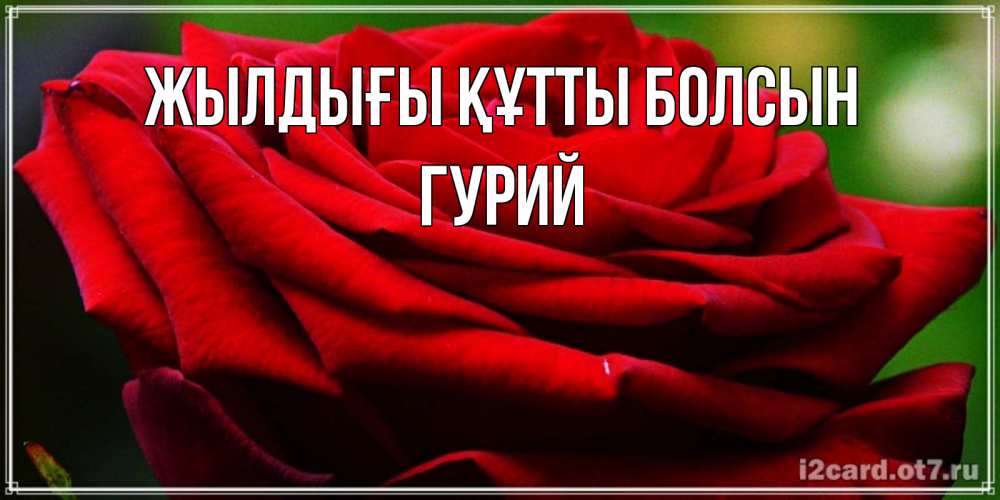 Күн сайын ашық хат с именем, Гурий Жылдығы құтты болсын розочка очень красивая Онлайн тегін жүктеп алу тілектері бар керемет карта 