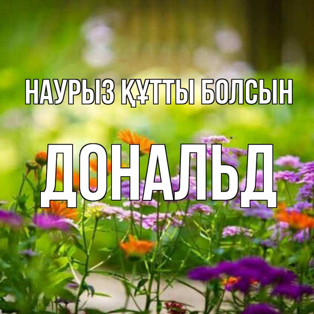 Күн сайын ашық хат с именем, Дональд Наурыз құтты болсын цветы Онлайн тегін жүктеп алу тілектері бар керемет карта 