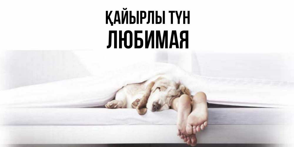 Күн сайын ашық хат с именем, Любимая Қайырлы түн кровать с собакой пожелание сладких снов и спокойной ночи Онлайн тегін жүктеп алу тілектері бар керемет карта 