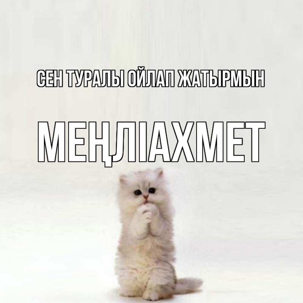 Күн сайын ашық хат с именем, МЕҢЛІАХМЕТ Сен туралы ойлап жатырмын кот стоит на задних лапах Онлайн тегін жүктеп алу тілектері бар керемет карта 
