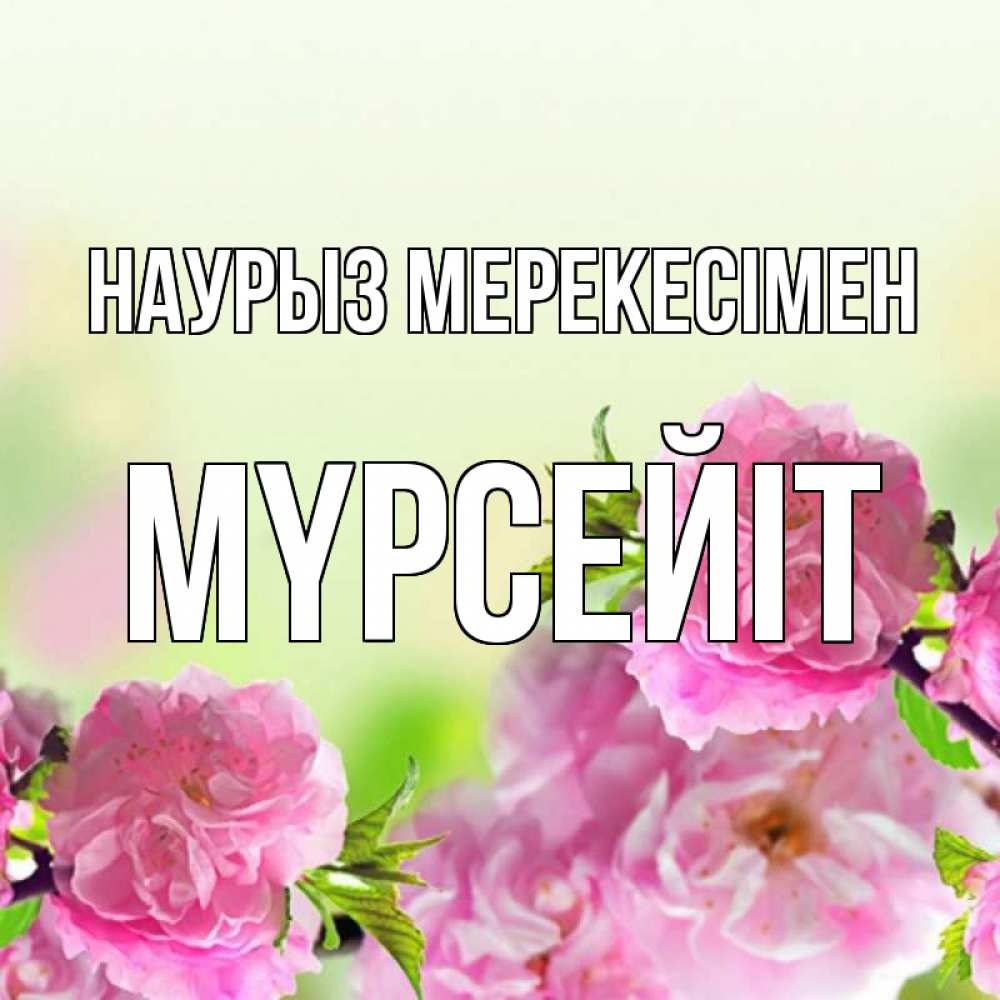 Күн сайын ашық хат с именем, МҮРСЕЙІТ Наурыз мерекесімен цветы Онлайн тегін жүктеп алу тілектері бар керемет карта 