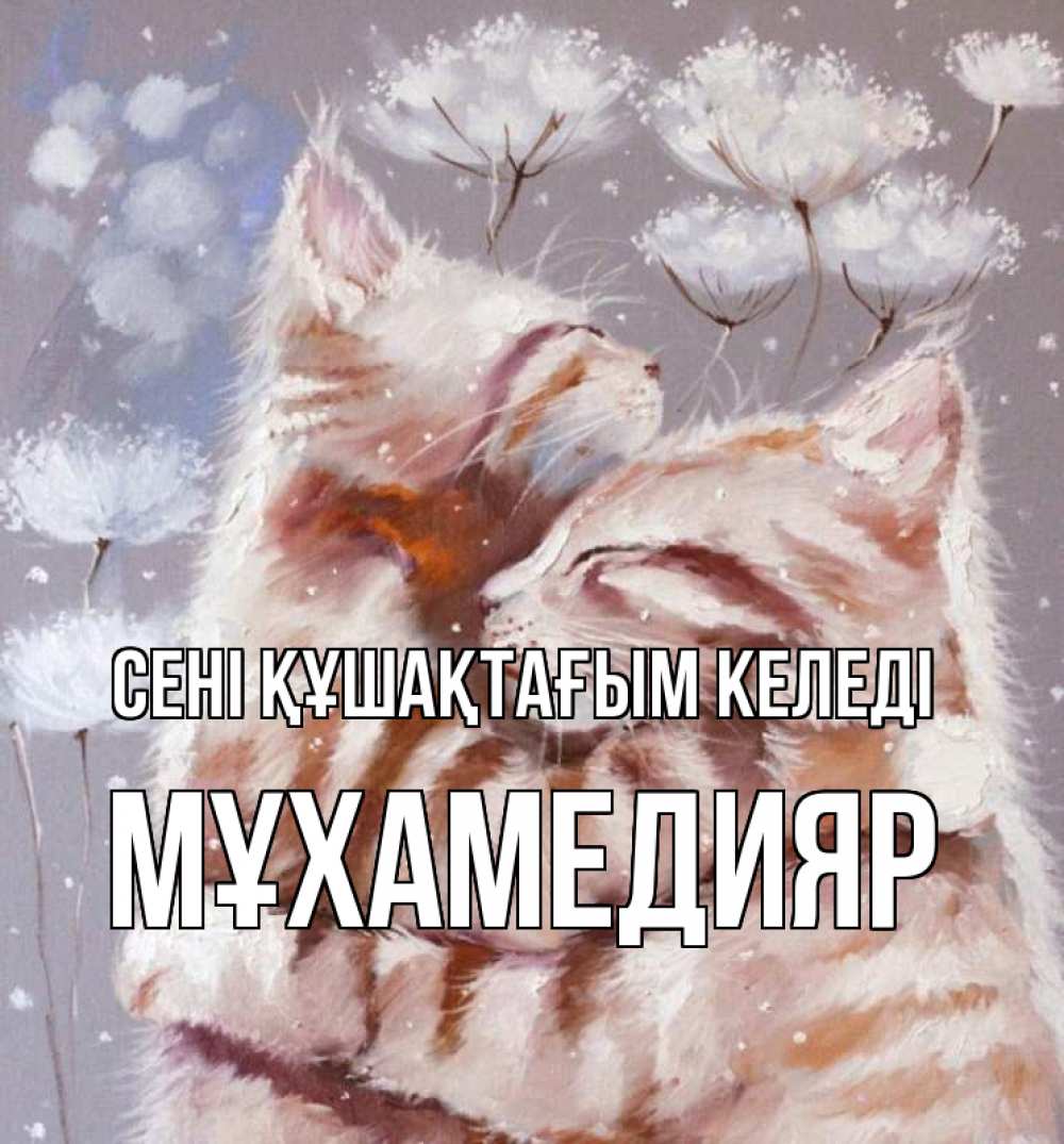 Күн сайын ашық хат с именем, МҰХАМЕДИЯР сені құшақтағым келеді Море и горы Онлайн тегін жүктеп алу тілектері бар керемет карта 
