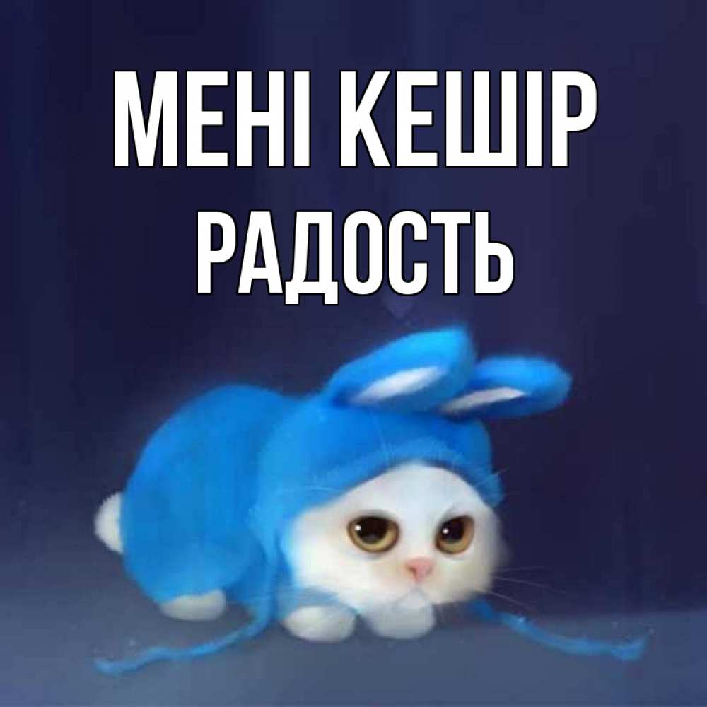 Күн сайын ашық хат с именем, Радость Мені кешір невинный котозай просит прощения Онлайн тегін жүктеп алу тілектері бар керемет карта 