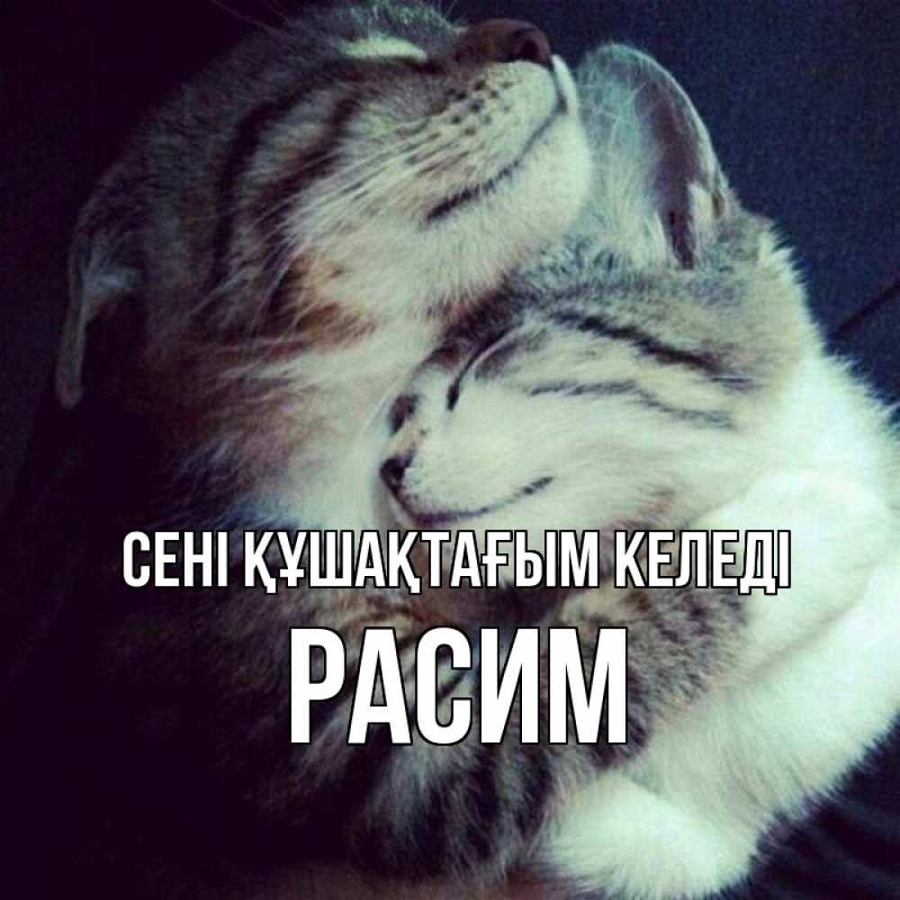 Күн сайын ашық хат с именем, Расим сені құшақтағым келеді полосатики Онлайн тегін жүктеп алу тілектері бар керемет карта 