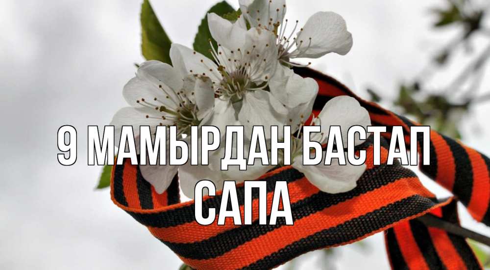 Күн сайын ашық хат с именем, САПА 9 мамырдан бастап 9 мая Онлайн тегін жүктеп алу тілектері бар керемет карта 