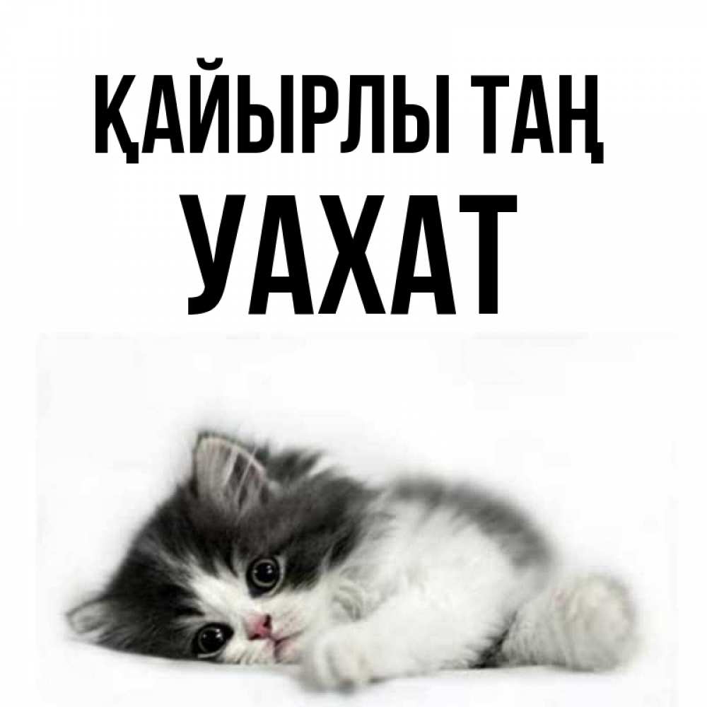 Күн сайын ашық хат с именем, УАХАТ Қайырлы таң кот лапки Онлайн тегін жүктеп алу тілектері бар керемет карта 