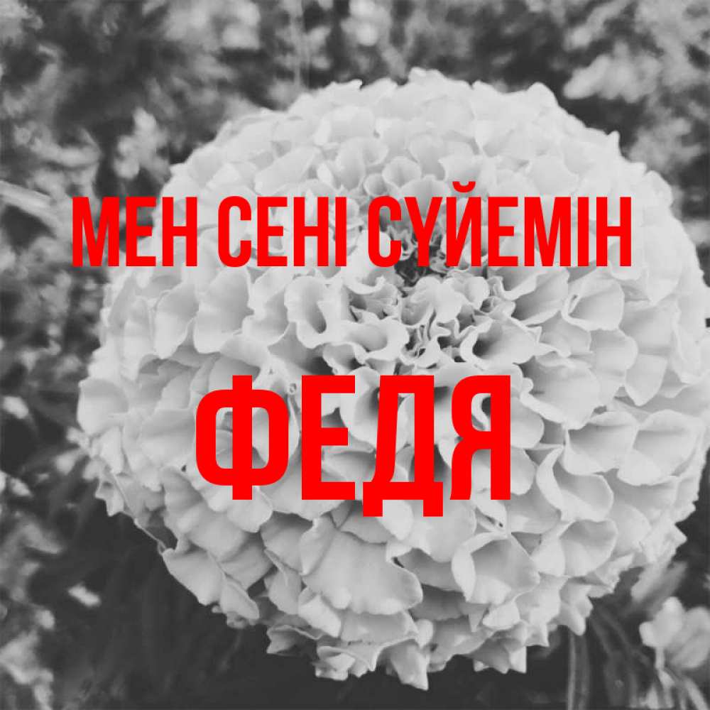 Күн сайын ашық хат с именем, Федя Мен сені сүйемін подпись Онлайн тегін жүктеп алу тілектері бар керемет карта 