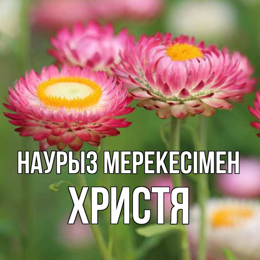 Күн сайын ашық хат с именем, Христя Наурыз мерекесімен подарок на международный женский день Онлайн тегін жүктеп алу тілектері бар керемет карта 