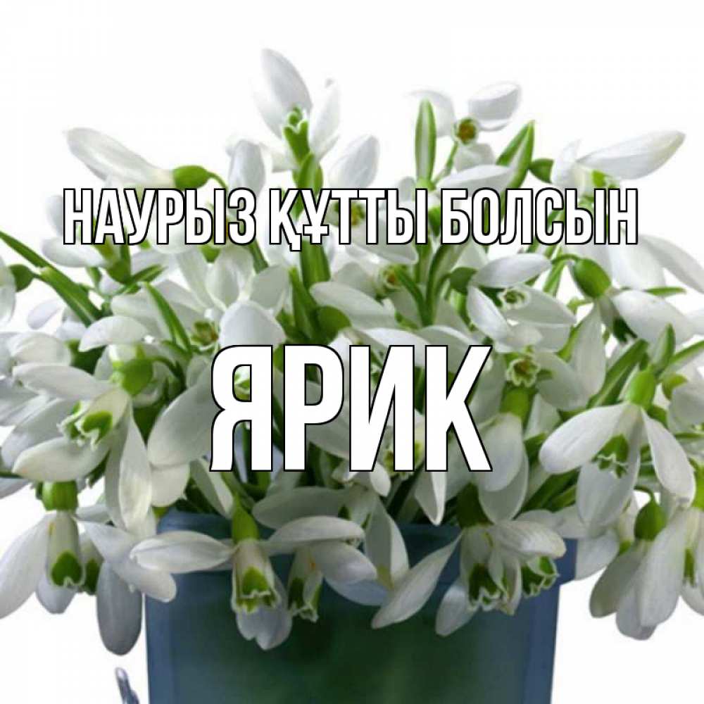 Күн сайын ашық хат с именем, Ярик Наурыз құтты болсын цветы к наурызу Онлайн тегін жүктеп алу тілектері бар керемет карта 