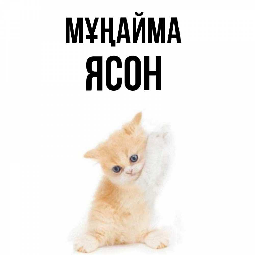 Күн сайын ашық хат с именем, Ясон Мұңайма просящий кот Онлайн тегін жүктеп алу тілектері бар керемет карта 