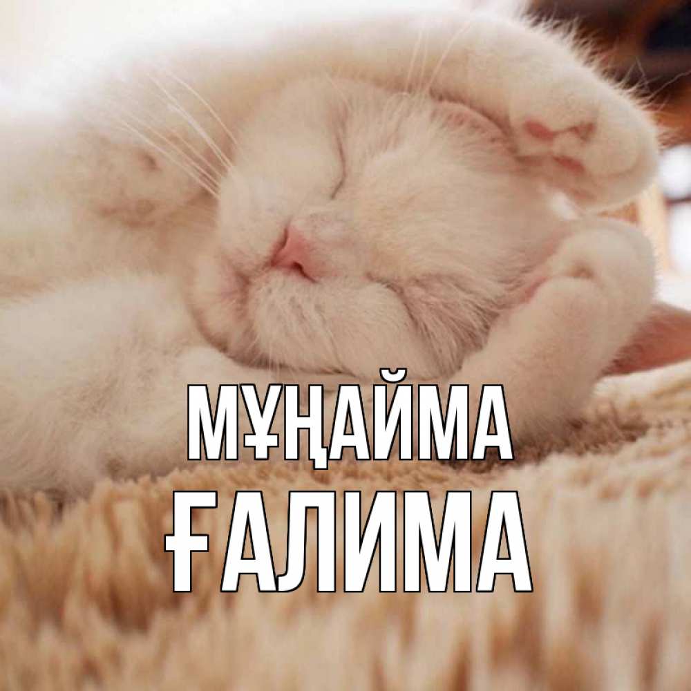 Күн сайын ашық хат с именем, ҒАЛИМА Мұңайма белый кот Онлайн тегін жүктеп алу тілектері бар керемет карта 
