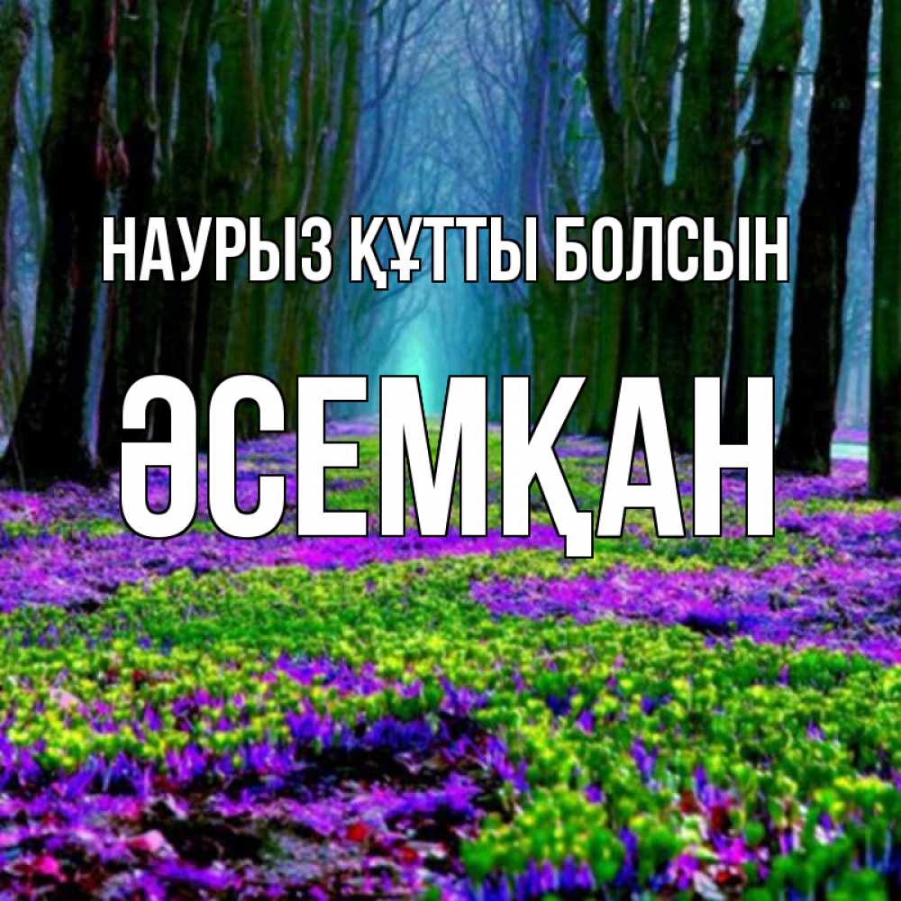 Күн сайын ашық хат с именем, ӘСЕМҚАН Наурыз құтты болсын фиолетовые цветы в лесу 1 Онлайн тегін жүктеп алу тілектері бар керемет карта 