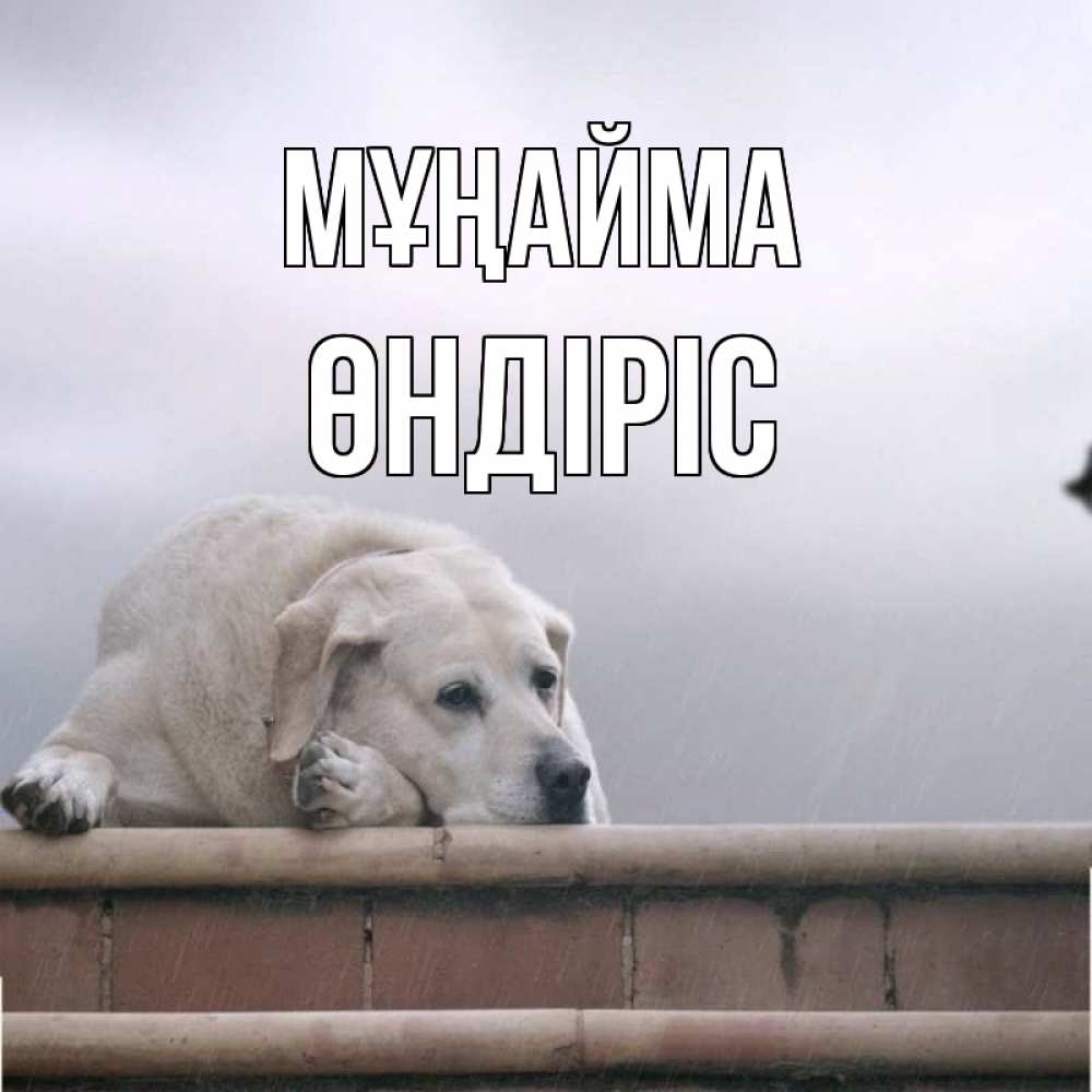 Күн сайын ашық хат с именем, ӨНДІРІС Мұңайма белый пес 1 Онлайн тегін жүктеп алу тілектері бар керемет карта 