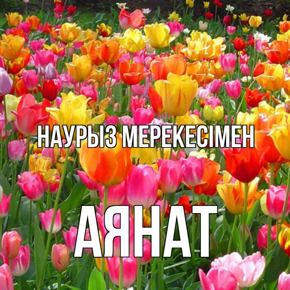 Күн сайын ашық хат с именем, АЯНАТ Наурыз мерекесімен праздник весны наурыз 4 Онлайн тегін жүктеп алу тілектері бар керемет карта 