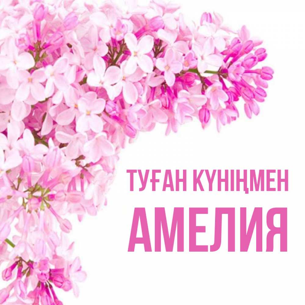 Күн сайын ашық хат с именем, Амелия Туған күніңмен Сирень на белом фоне Онлайн тегін жүктеп алу тілектері бар керемет карта 
