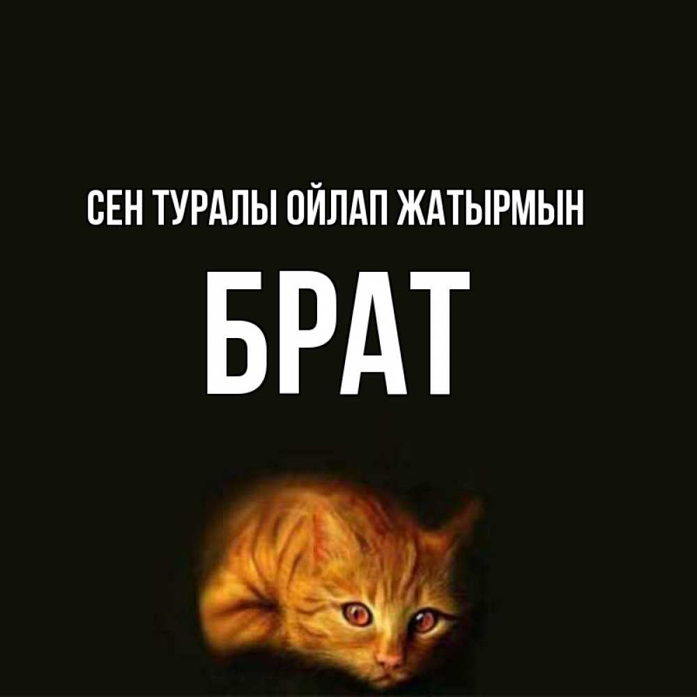 Күн сайын ашық хат с именем, Брат Сен туралы ойлап жатырмын рыжий Онлайн тегін жүктеп алу тілектері бар керемет карта 
