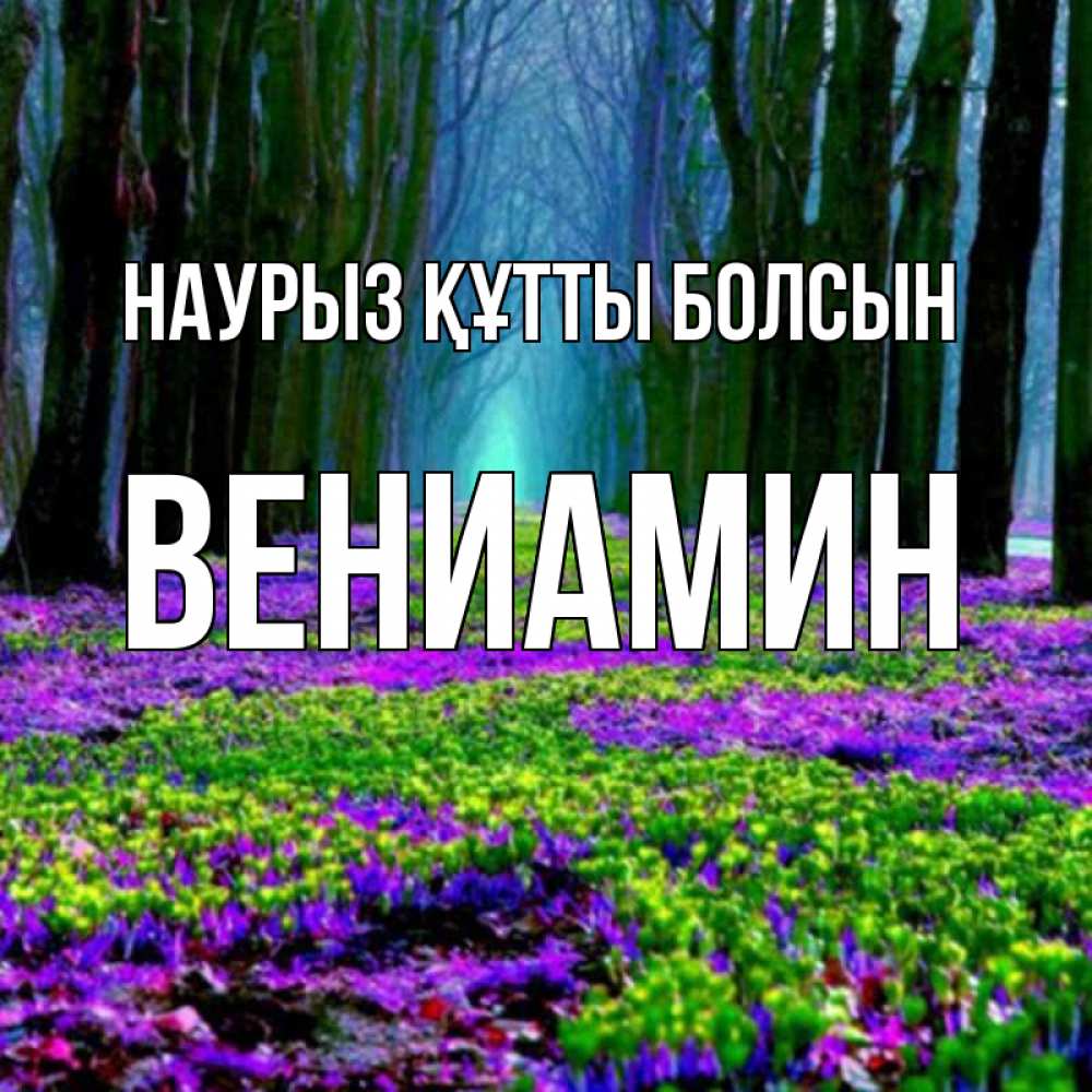 Күн сайын ашық хат с именем, Вениамин Наурыз құтты болсын фиолетовые цветы в лесу 1 Онлайн тегін жүктеп алу тілектері бар керемет карта 