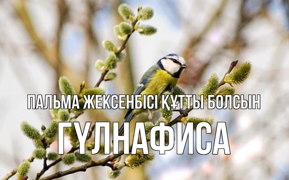 Күн сайын ашық хат с именем, ГҮЛНАФИСА Пальма жексенбісі құтты болсын верба Онлайн тегін жүктеп алу тілектері бар керемет карта 