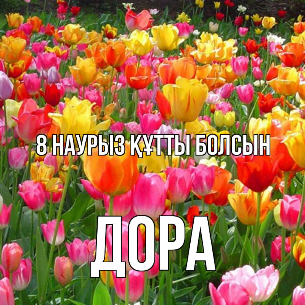 Күн сайын ашық хат с именем, Дора 8 наурыз құтты болсын на международный женский день Онлайн тегін жүктеп алу тілектері бар керемет карта 