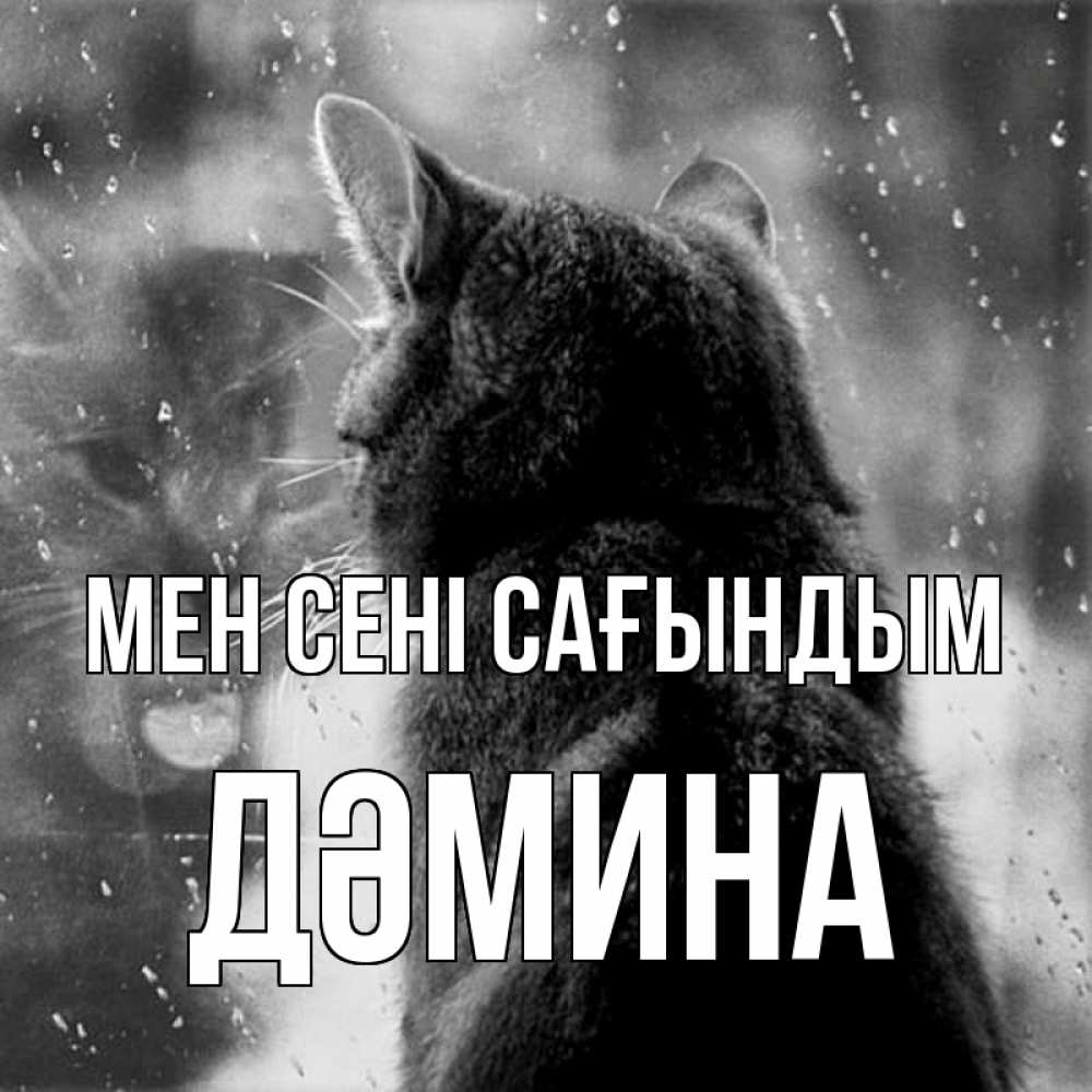 Күн сайын ашық хат с именем, ДӘМИНА Мен сені сағындым скорее ко мне приходи 1 Онлайн тегін жүктеп алу тілектері бар керемет карта 