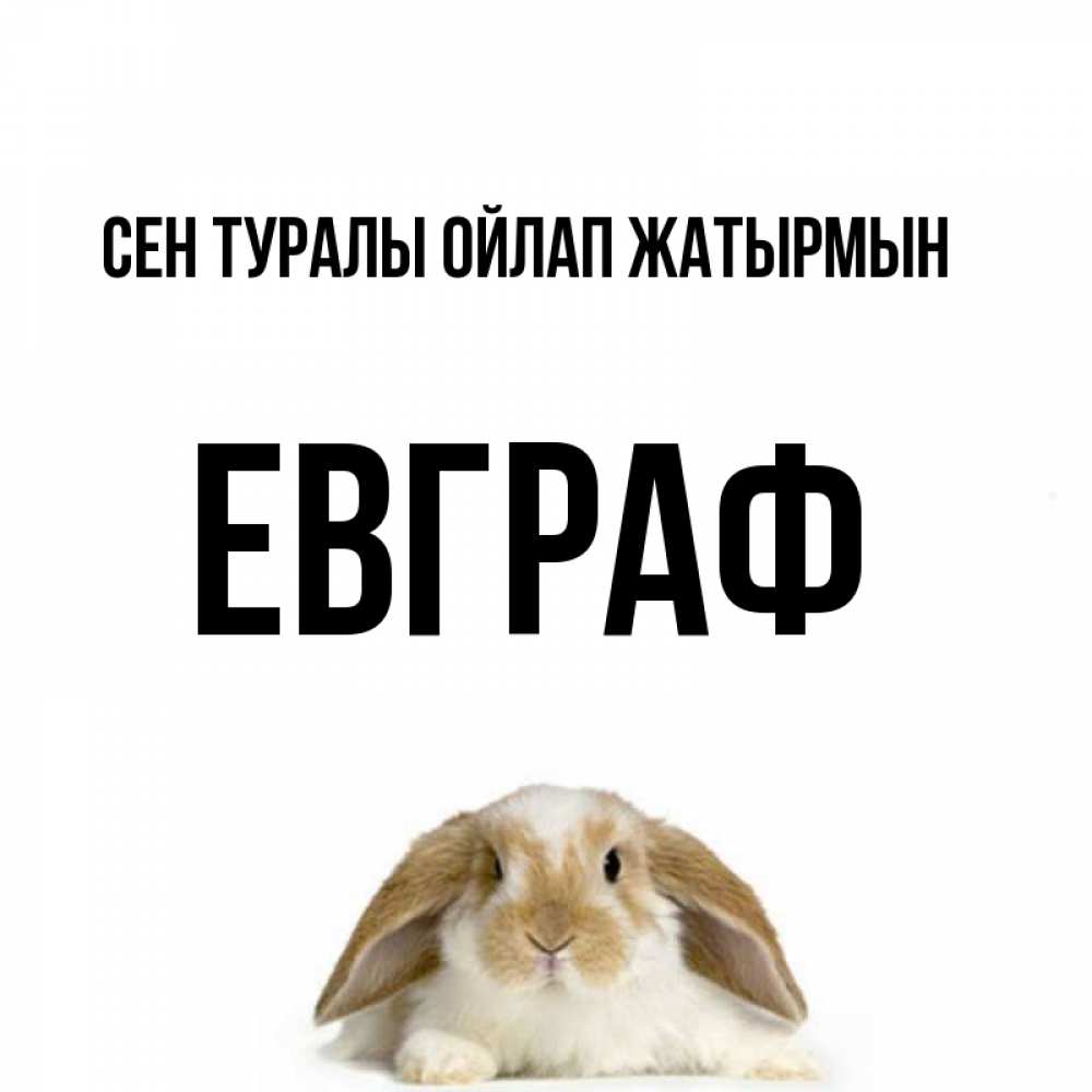 Күн сайын ашық хат с именем, Евграф Сен туралы ойлап жатырмын подписать своими руками онлайн Онлайн тегін жүктеп алу тілектері бар керемет карта 