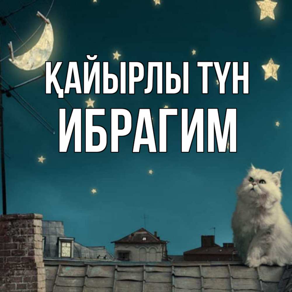 Күн сайын ашық хат с именем, Ибрагим Қайырлы түн белый кот сидит на крыше Онлайн тегін жүктеп алу тілектері бар керемет карта 