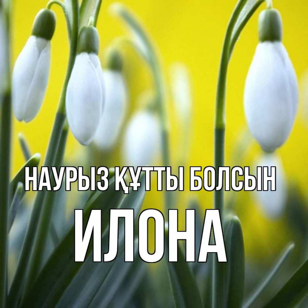 Күн сайын ашық хат с именем, Илона Наурыз құтты болсын весенние цветы Онлайн тегін жүктеп алу тілектері бар керемет карта 