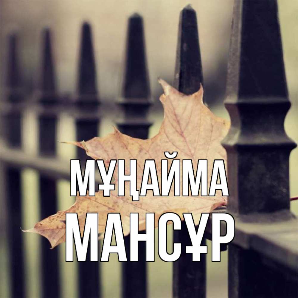 Күн сайын ашық хат с именем, МАНСҰР Мұңайма лист клена Онлайн тегін жүктеп алу тілектері бар керемет карта 